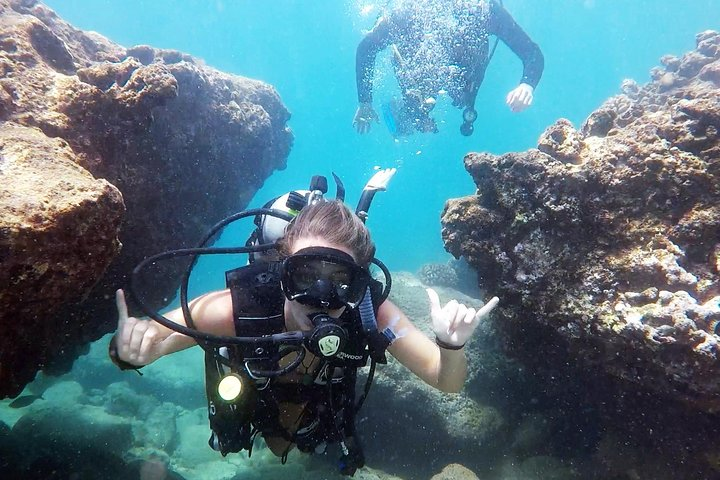 Scuba Diving for Beginners!